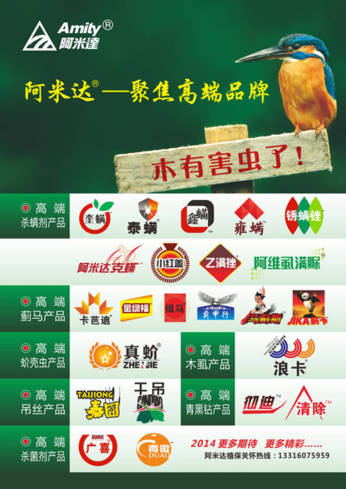 亚洲AV午夜成人片精品网站