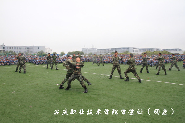 亚洲AV午夜成人片精品网站