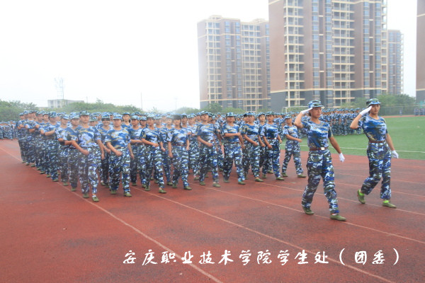 亚洲AV午夜成人片精品网站