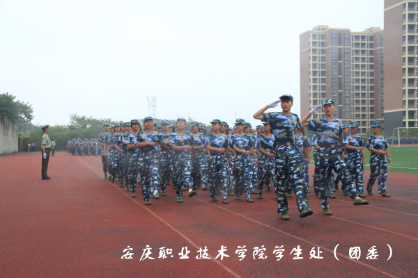 亚洲AV午夜成人片精品网站