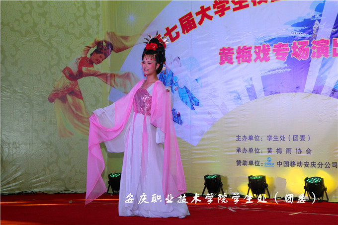 亚洲AV午夜成人片精品网站