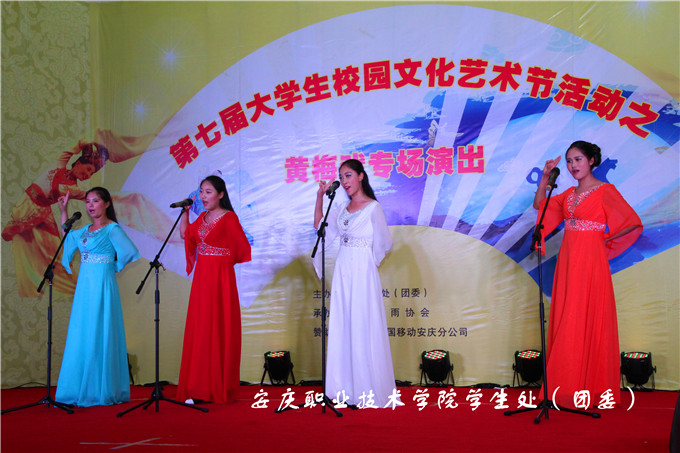 亚洲AV午夜成人片精品网站