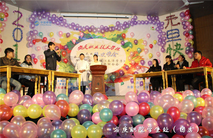 亚洲AV午夜成人片精品网站