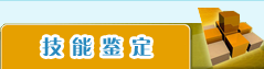 亚洲AV午夜成人片精品网站
