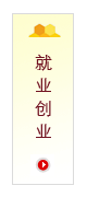 亚洲AV午夜成人片精品网站